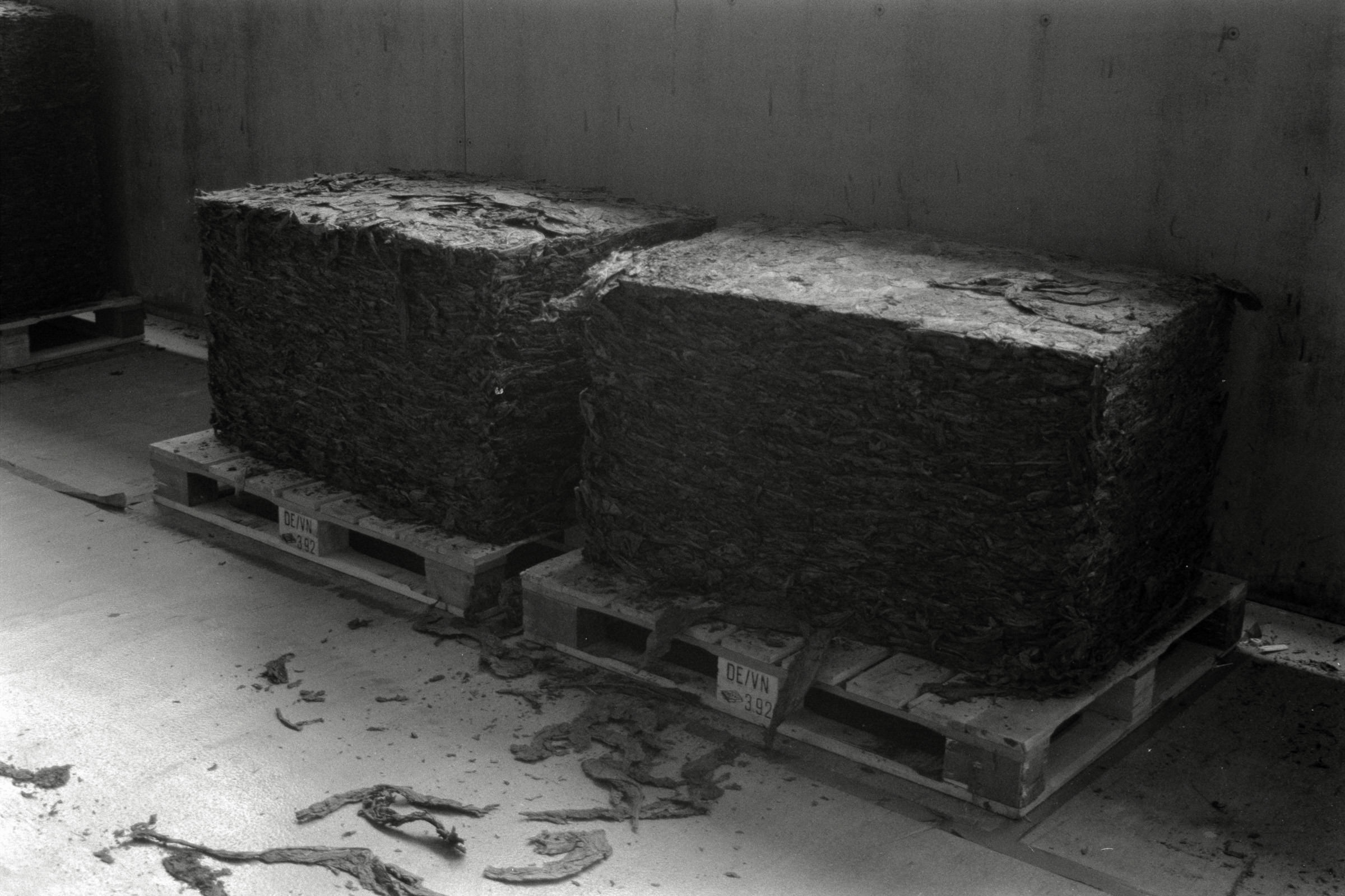 AHP F1992 06 003 sc250507 img09 NLP